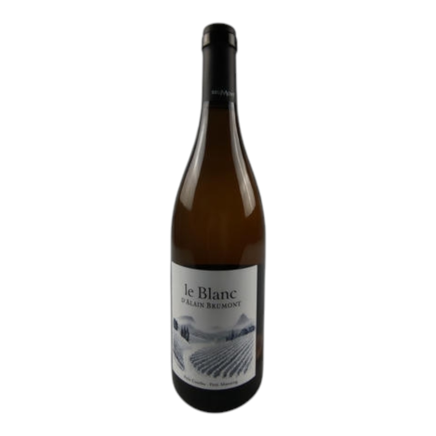 Le Blanc D Alain Brumont Pacherenc Du Vic Bilh 2023 Brumont 75 cl 12,5°