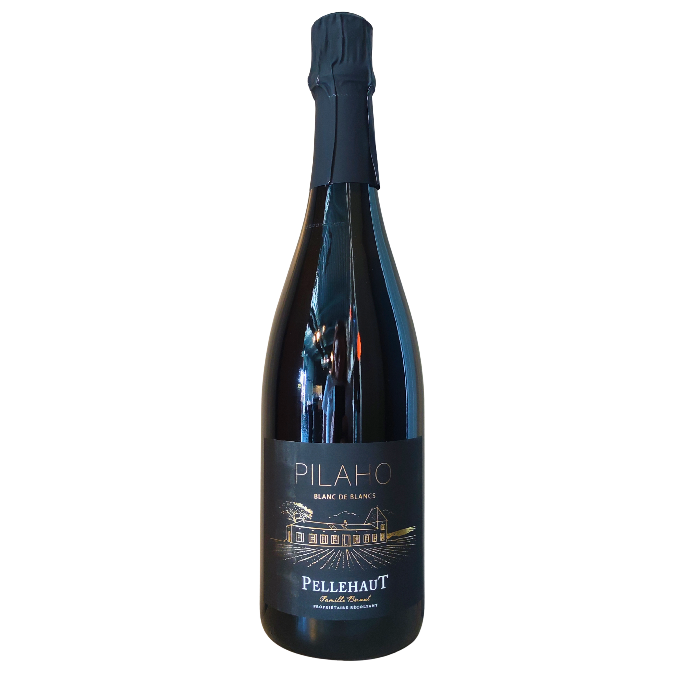 Pilaho Blanc de Blanc, Domaine de Pellehaut, Gascogne, 2025, 75Cl, 9°